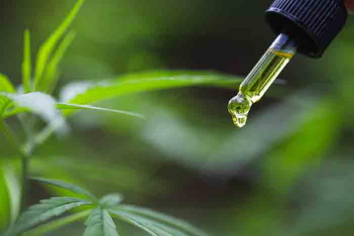 How-to-Use-CBD-Oil-for-Pain